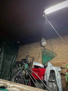 HTXBELLE online show from March 13, 2026, 1:23 am