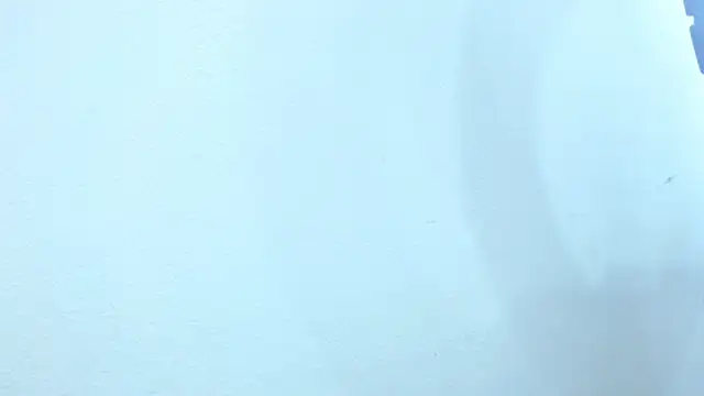 sebastian colle online show from February 26, 2025, 3:08 pm