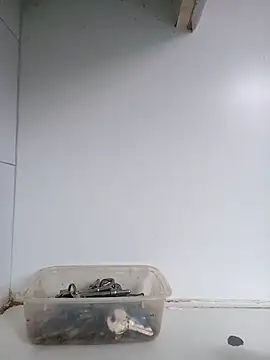 Snapshot of xxTatiannaxx chatting on February 28, 2025, 12:09 pm xxTatiannaxx online show from February 28, 2025, 12:09 pm