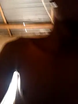 lilpip online show from February 15, 2026, 9:08 am