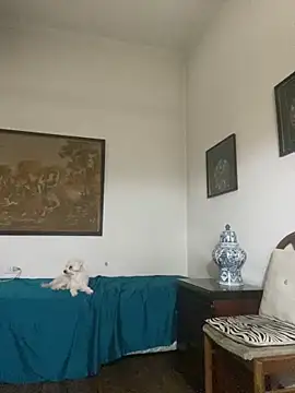 KititA12 online show from February 22, 2026, 5:08 am