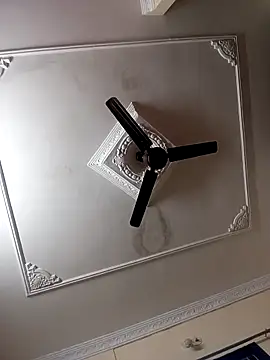 Snapshot of heena-3678 chatting on December 4, 2025, 11:52 am heena-3678 online show from December 4, 2025, 11:52 am