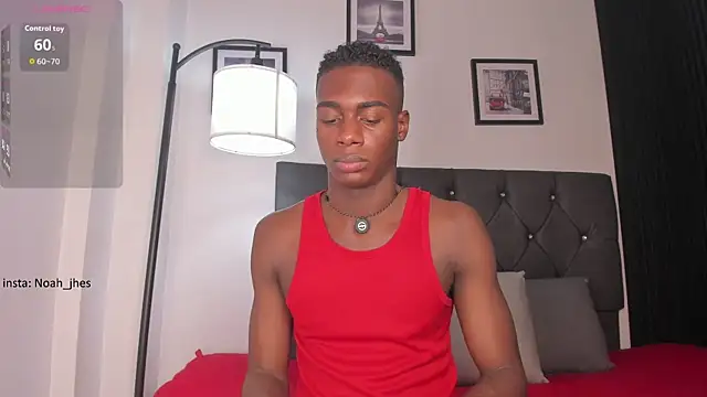 Snapshot of noah_johes chatting on August 1, 2026, 3:17 am noah johes online show from August 1, 2026, 3:17 am