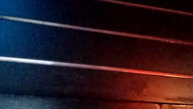 wetnwildforyou online show from October 29, 2025, 4:37 am