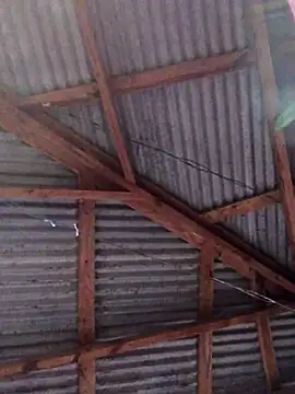 Snapshot of Ladyzee25 chatting on November 26, 2025, 9:05 pm Ladyzee25 online show from November 26, 2025, 9:05 pm