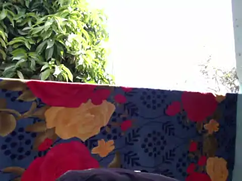 Snapshot of Ladyzee25 chatting on February 6, 2026, 3:04 pm Ladyzee25 online show from February 6, 2026, 3:04 pm