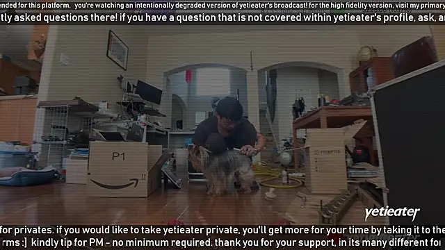 yetieater online show from February 13, 2025, 5:22 pm