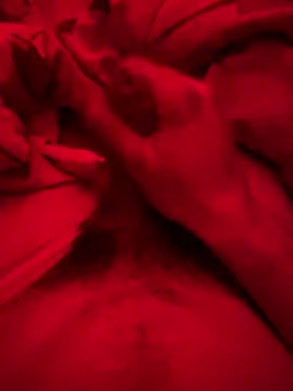 Snapshot of ruchacz24 chatting on March 6, 2025, 2:51 am ruchacz24 online show from March 6, 2025, 2:51 am