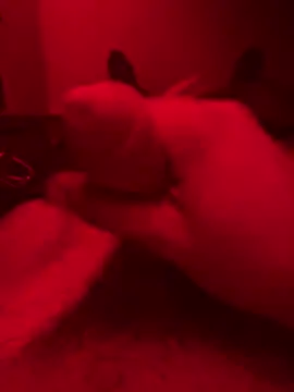 Snapshot of ruchacz24 chatting on October 14, 2025, 1:50 am ruchacz24 online show from October 14, 2025, 1:50 am