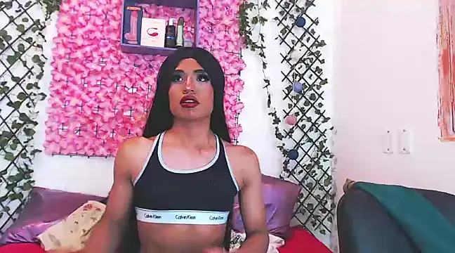 willians   0 online show from March 19, 2025, 6:46 am