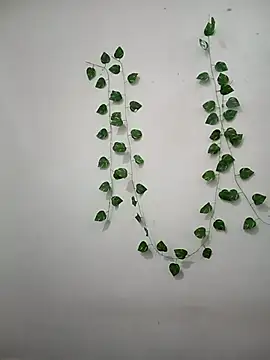 Neha-Bhabhi-Rasily online show from February 22, 2026, 9:08 am