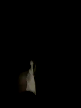 Dasul  online show from October 11, 2025, 7:07 am