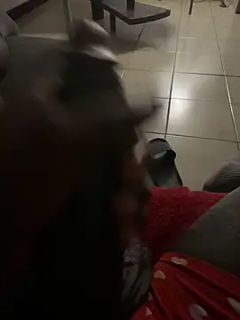 Snapshot of Goodball88 chatting on February 28, 2026, 3:07 am Goodball88 online show from February 28, 2026, 3:07 am