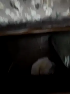 horniestboi online show from April 20, 2026, 5:48 pm