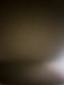 Messyman1187 online show from November 2, 2025, 4:48 am