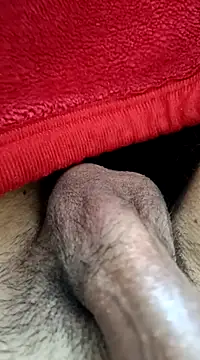 Jaipuri Boy online show from March 21, 2025, 10:06 am