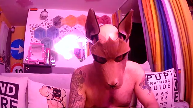 Snapshot of danix_wild_wolf chatting on May 31, 2026, 11:06 pm danix wild wolf online show from May 31, 2026, 11:06 pm