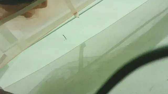 CrazyMove83 online show from February 25, 2026, 12:15 pm