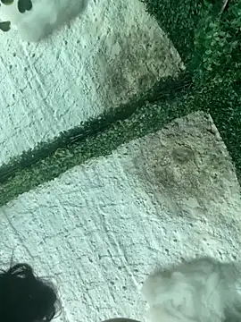 val zx online show from March 22, 2026, 6:44 pm