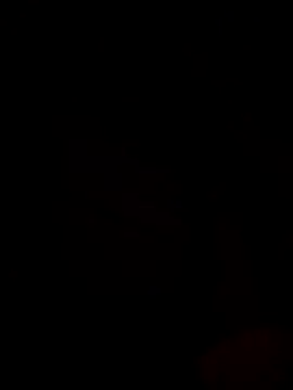 Snapshot of Ricopalote22 chatting on September 21, 2025, 9:16 pm Ricopalote22 online show from September 21, 2025, 9:16 pm