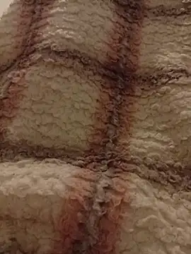 Bosniaae1 online show from November 23, 2025, 11:26 pm