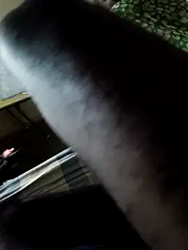 PolarFriend0 online show from February 14, 2026, 4:37 pm