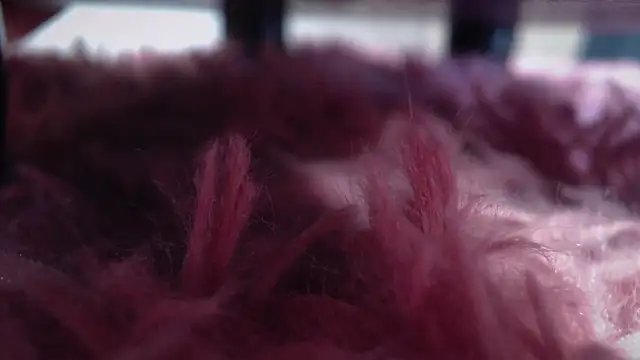 Taylor dolll online show from October 1, 2025, 2:12 pm