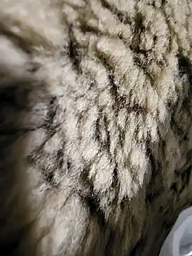 ikeike-kun online show from December 2, 2025, 1:33 am