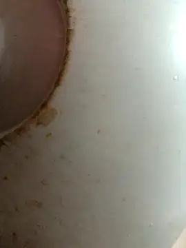 Dabunation online show from October 8, 2025, 6:11 am