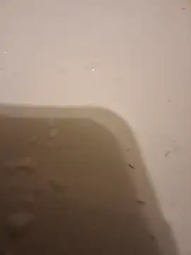 Snapshot of moasslicker chatting on October 21, 2025, 4:46 am moasslicker online show from October 21, 2025, 4:46 am