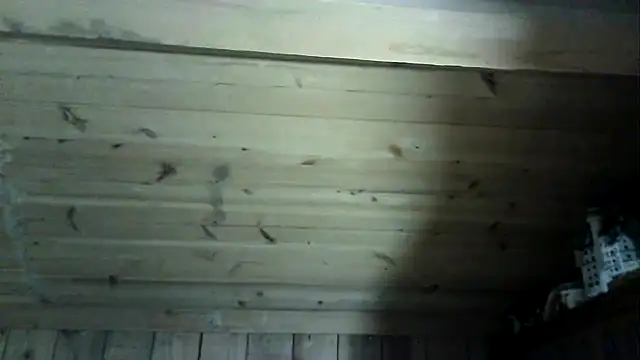 Snapshot of Angelsordemons6 chatting on March 4, 2026, 8:26 pm Angelsordemons6 online show from March 4, 2026, 8:26 pm