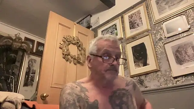 poggles online show from March 17, 2026, 7:28 pm