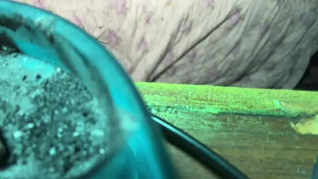 HodgeVibes online show from April 21, 2026, 11:49 am