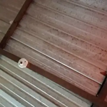 Snapshot of Ortiz3404 chatting on April 5, 2026, 2:58 pm Ortiz3404 online show from April 5, 2026, 2:58 pm