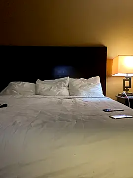 StaciDiamond online show from November 11, 2025, 11:21 am