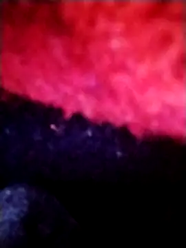 salimbasha online show from September 28, 2025, 12:27 am