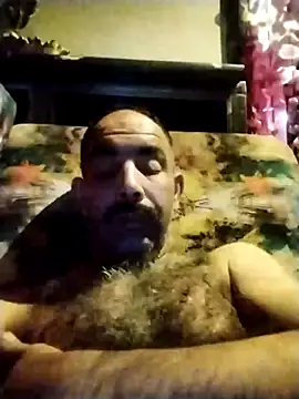 salimbasha online show from October 23, 2025, 3:28 am