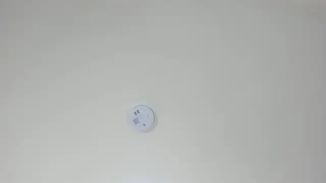 pamemiller1 online show from October 23, 2025, 2:33 am