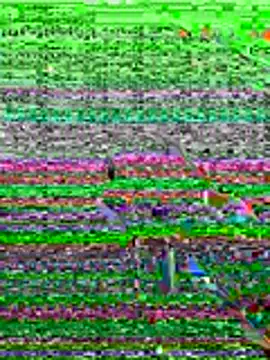 Snapshot of kamo012000 chatting on June 19, 2026, 10:08 am kamo012000 online show from June 19, 2026, 10:08 am