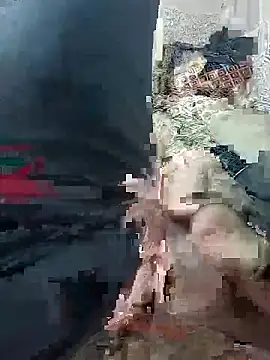 svvagesexyy online show from January 13, 2026, 7:41 pm