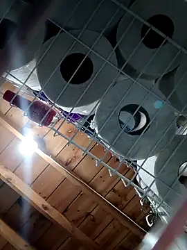 Snapshot of Single_lagunero chatting on March 16, 2026, 6:34 pm Single lagunero online show from March 16, 2026, 6:34 pm