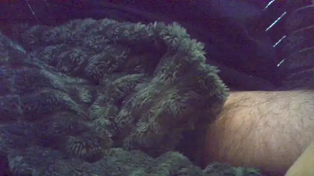 HairyHornyTwinkx online show from October 18, 2025, 8:04 am