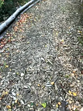 Mlkrrp online show from October 10, 2025, 4:28 pm