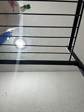 Nia Desire online show from December 17, 2025, 5:24 am