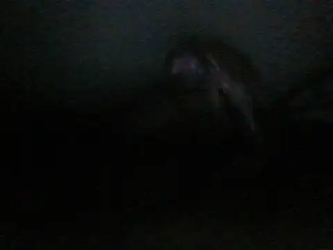 itachi thebro1 online show from June 10, 2026, 4:12 am