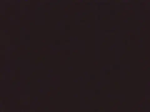 Laurenflex online show from October 3, 2025, 2:03 pm