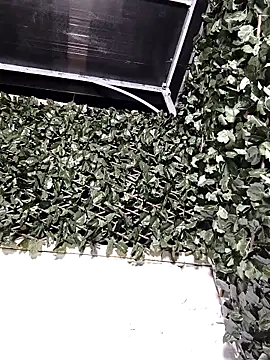 Eve  Queen online show from September 11, 2025, 2:55 am