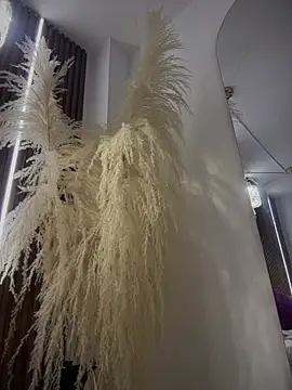 Anita-vega online show from December 19, 2025, 9:11 pm