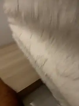 Snapshot of DoctorArabe3 chatting on February 12, 2026, 11:05 am DoctorArabe3 online show from February 12, 2026, 11:05 am