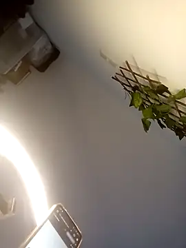 Loiroatv36 online show from April 3, 2026, 10:02 am